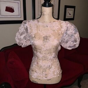 Sheer Pink Perfect Blouse